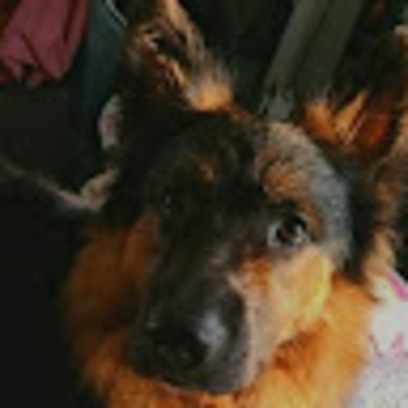 Meet your Posher, Katie - Picture 1 of 1